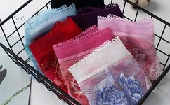 理想回应车内摄像头拍色情图片